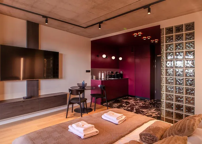 Modern Luxury 公寓 格但斯克